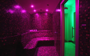Wellness