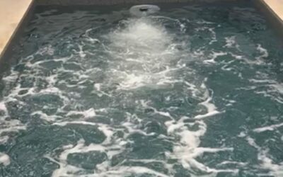 Nuoto controcorrente, in azione.